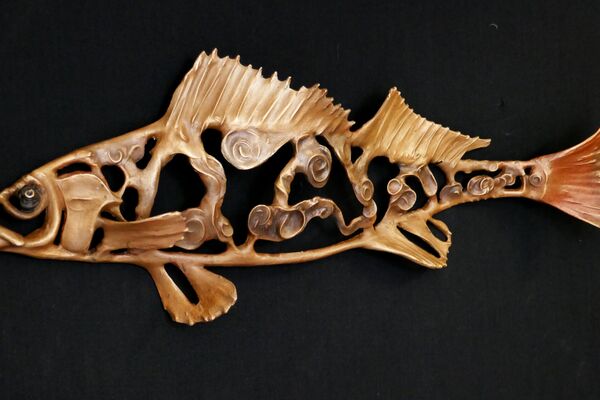 Zingel - Zingel zingel, Bronze, 48 x 16 cm