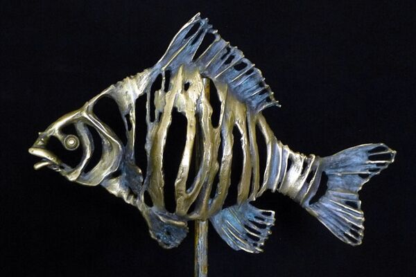 Karausche - Carassius Carassius - Bronze, 46 x 32 cm