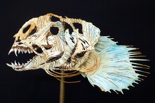 Seewolf - Anarhichas Lupus - Eisendraht, Zementspachtel, 64 x 33 cm