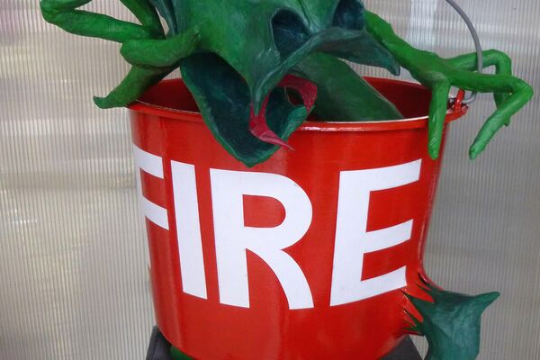 Jonesy – 60 x 48 cm, Drahtgeflecht, Papiermache, Mixed Media, Speißeimer - Almut Rybarsch-Tarry // Skulptur Objekt Wandgestaltung Installation