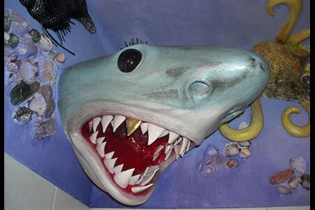 Tiefseebadezimmer - Haialarm über der Badewanne - Almut Rybarsch-Tarry // Skulptur Objekt Wandgestaltung Installation
