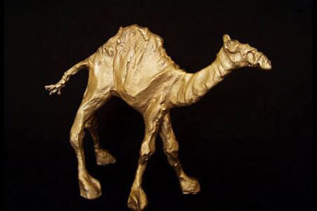 "Dromedar" - 27 x 21 cm, Bronze - Almut Rybarsch-Tarry // Skulptur Objekt Wandgestaltung Installation