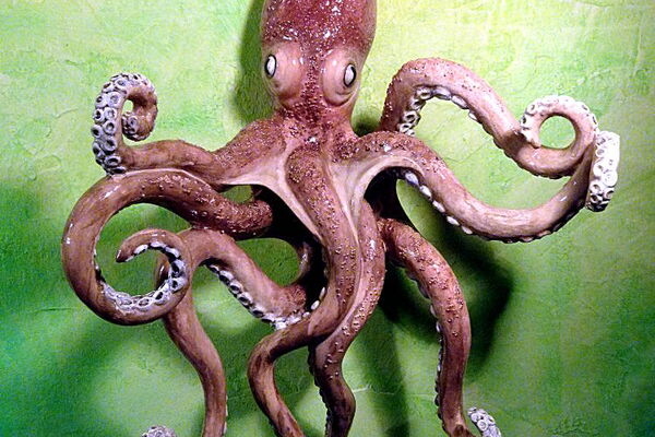 "Oktokuss", Aluminiumdraht, Modelliermasse, 60x48x16cm