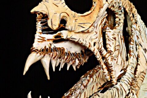 Dem Seewolf ins Maul geschaut